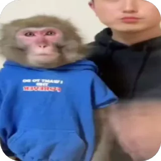 🤪