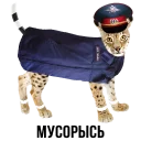 🚓