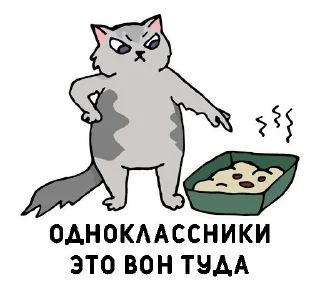 😼