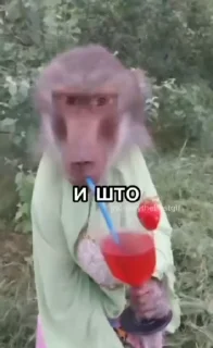 😁