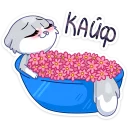 🌸