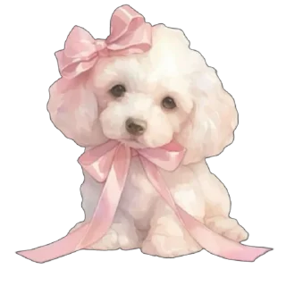 🐶