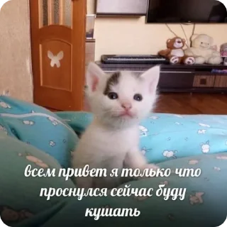 🙂