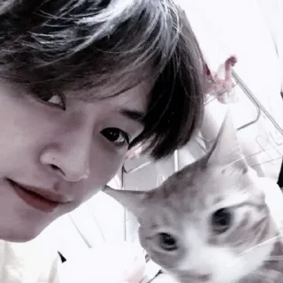 🐈