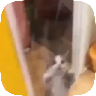 👀