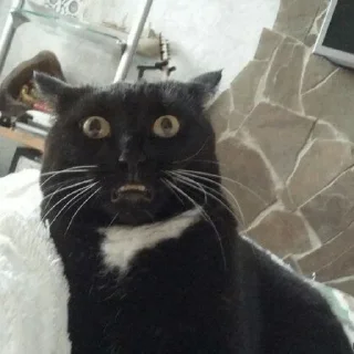 😧