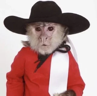 🎩
