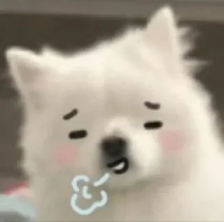 😮‍💨