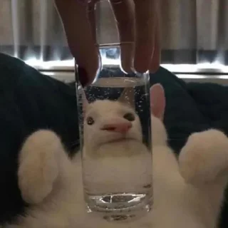 🗿