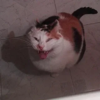 😂