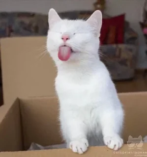 😚