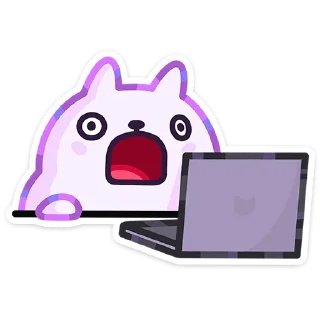 🐱