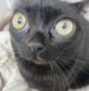 😐