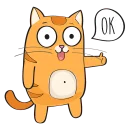 🐱