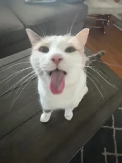 😛
