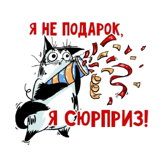 🎉