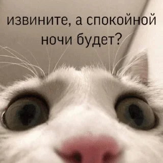 ☝
