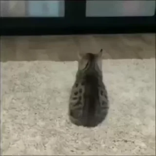🕺