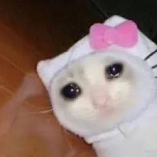 🥺