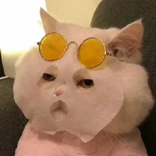 🧖‍♀️