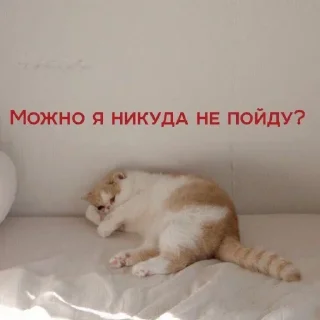 😴