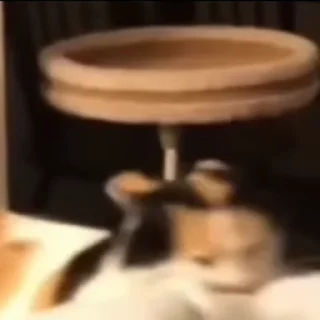 😠