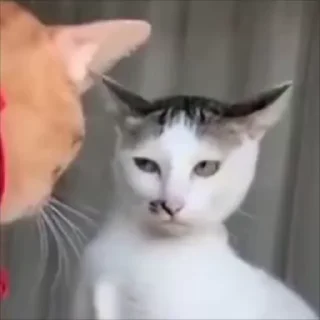 😠