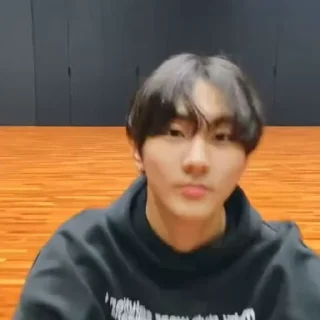 🐈