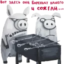 🐷