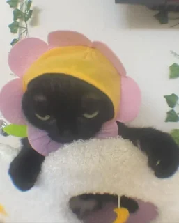 😠