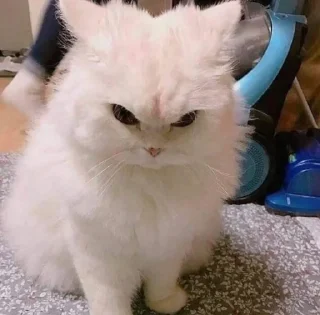 😡