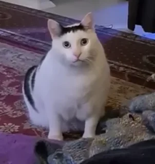 😡