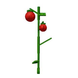 🍅