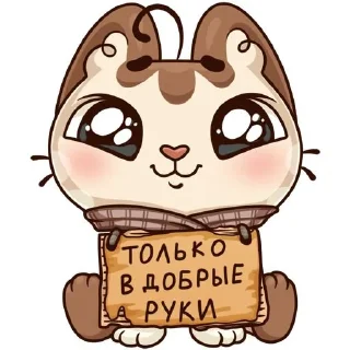 🌝