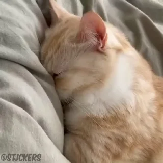 😞