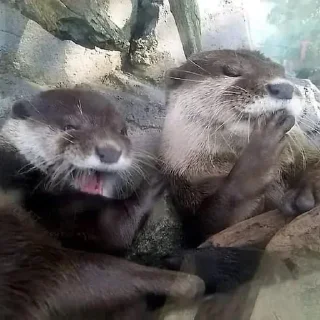😆