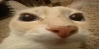 😐