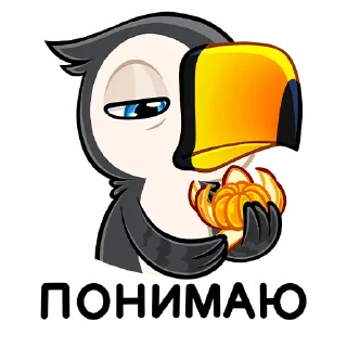 🍊