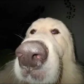 😶