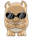 😎