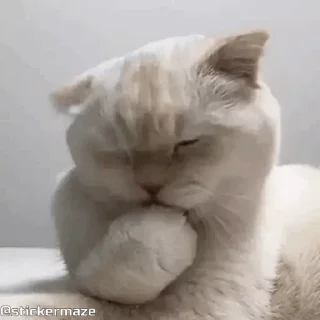 👅