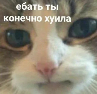 🤬