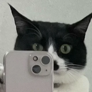 😏