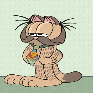 😼