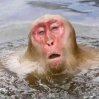 😩