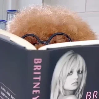 🤓