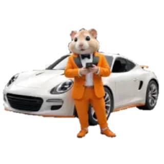 🐹Hamster cards by @CryptoGame_Hub