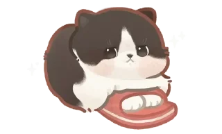 🐾