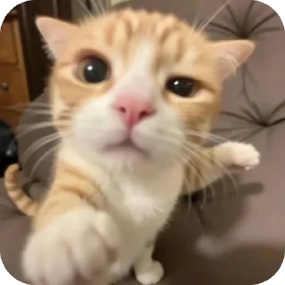 🤨