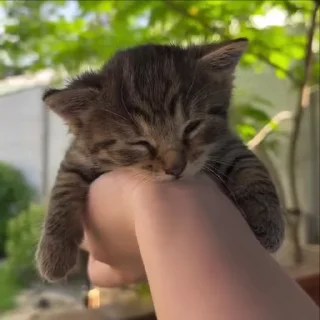 🤗